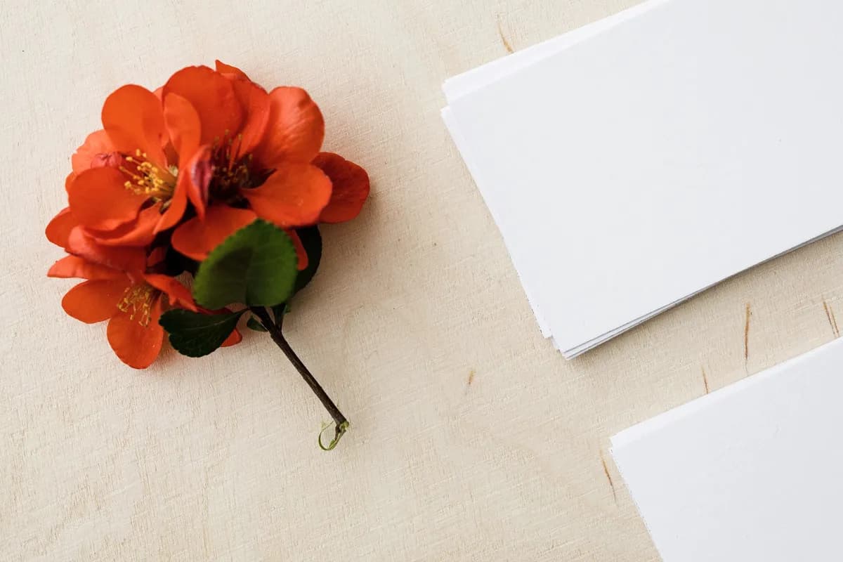 A stack of plain white paper on a bright surface